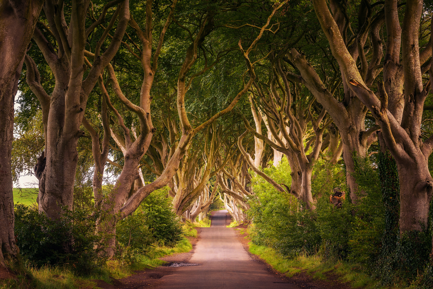 Breathtaking Irish Seascape Canvas Art – Bring the Beauty of Ireland Home!