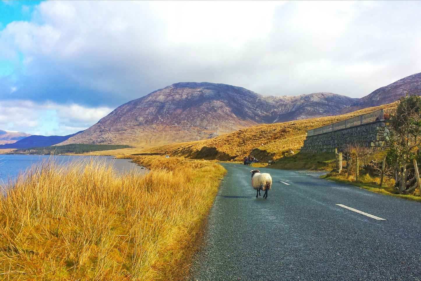 Breathtaking Irish Seascape Canvas Art – Bring the Beauty of Ireland Home!