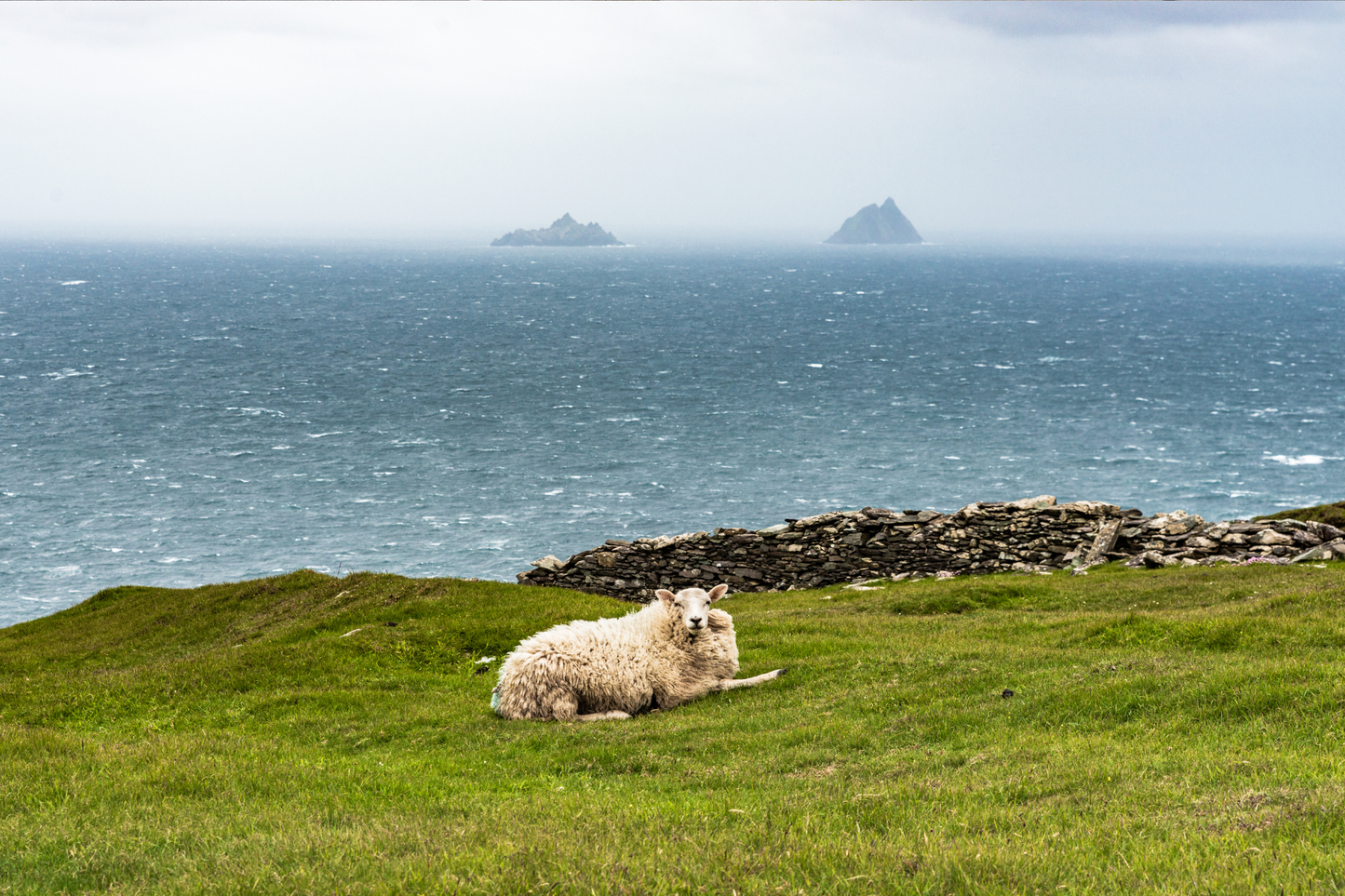 Breathtaking Irish Seascape Canvas Art – Bring the Beauty of Ireland Home!