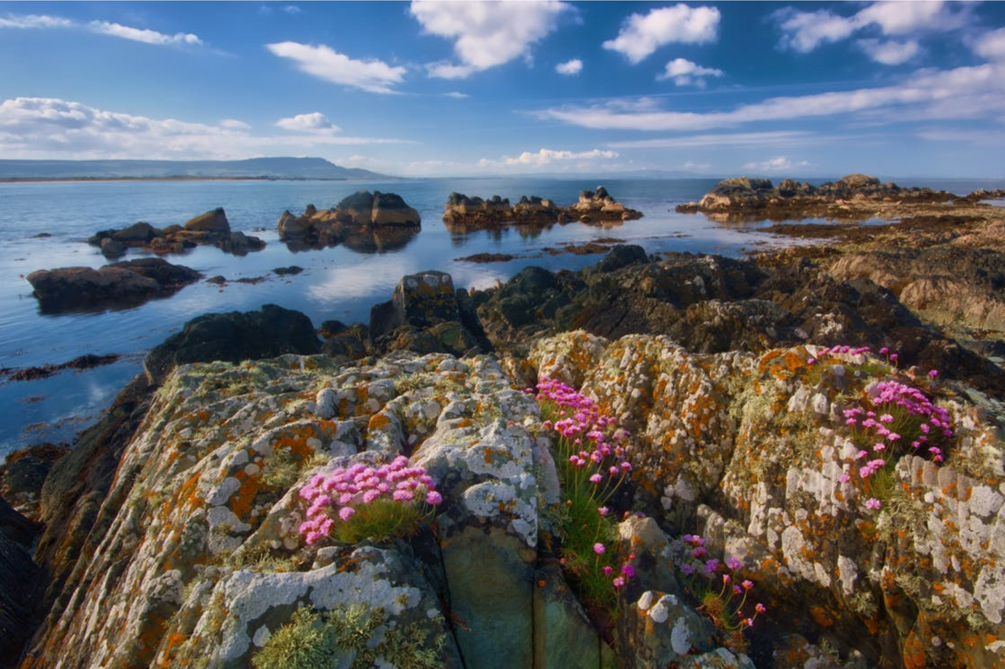 Breathtaking Irish Seascape Canvas Art – Bring the Beauty of Ireland Home!