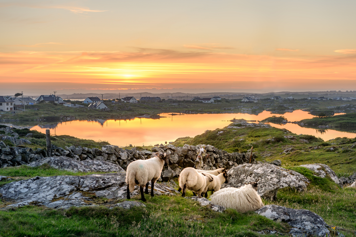 Breathtaking Irish Seascape Canvas Art – Bring the Beauty of Ireland Home!