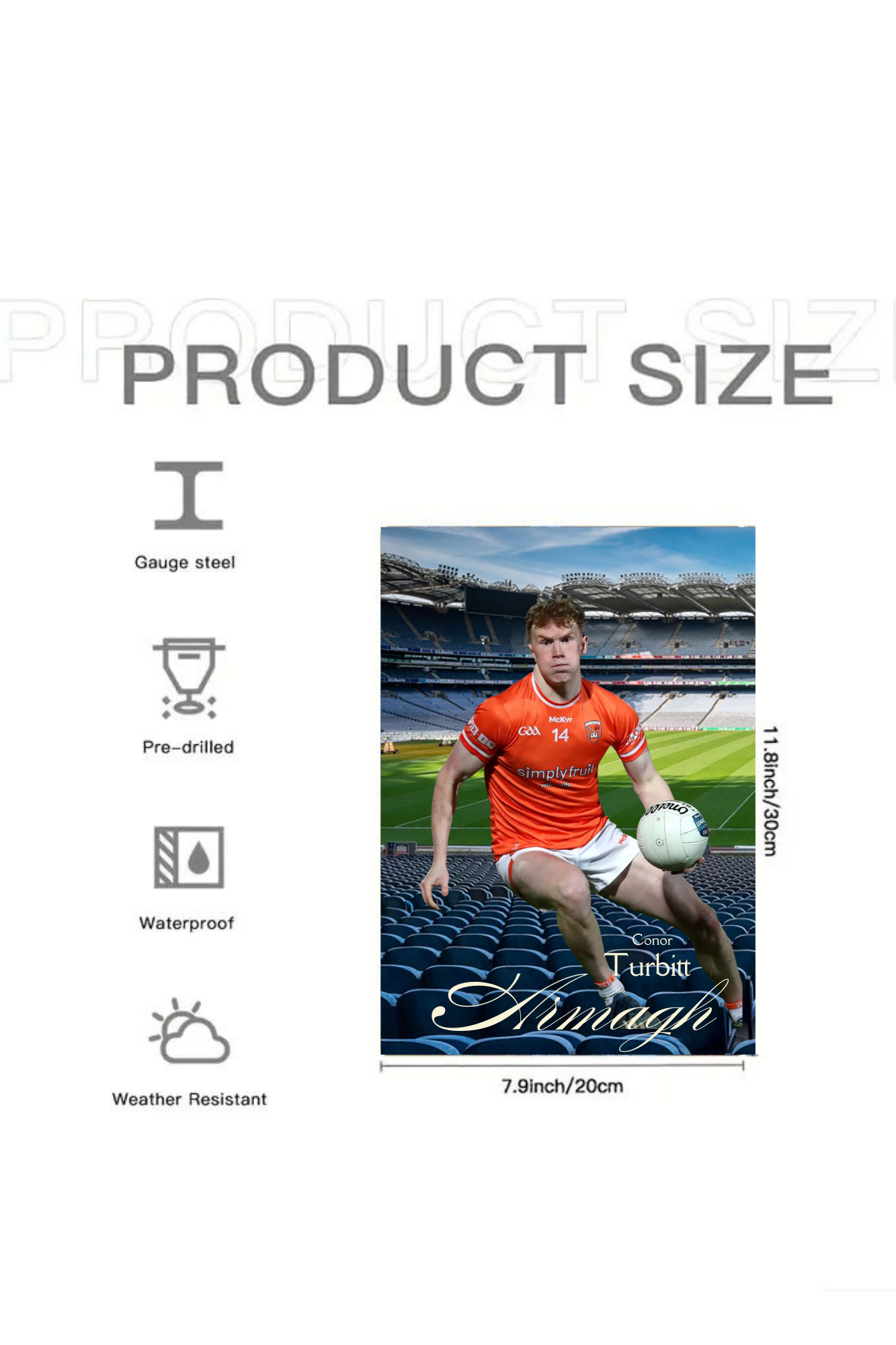 GAA Football Stars of 2024 – Unleash the Legends Metal Poster Collection