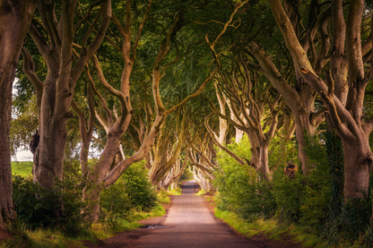 Breathtaking Irish Seascape Canvas Art – Bring the Beauty of Ireland Home!