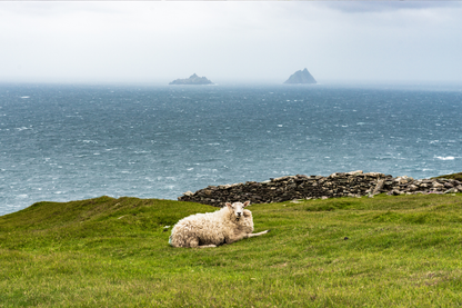 Breathtaking Irish Seascape Canvas Art – Bring the Beauty of Ireland Home!