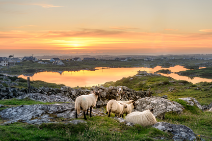 Breathtaking Irish Seascape Canvas Art – Bring the Beauty of Ireland Home!
